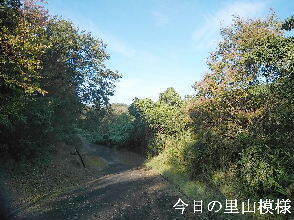 2023-10.04　今日の里山模様 (4).jpg