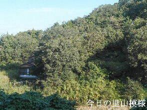 2023-10.04　今日の里山模様 (5).jpg
