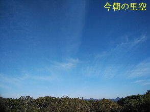 2023-10.04　今朝の里空 (1).jpg