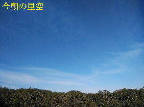 2023-10.04　今朝の里空 (2).jpg