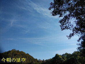 2023-10.04　今朝の里空 (3).jpg