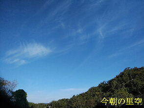 2023-10.04　今朝の里空 (4).jpg