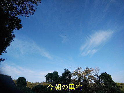 2023-10.04　今朝の里空 (6).jpg