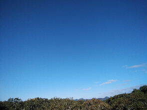 2023-10.30　今朝の里空 (1).jpg