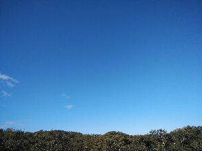 2023-10.30　今朝の里空 (2).jpg