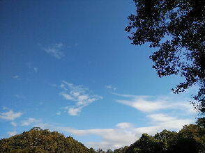 2023-10.30　今朝の里空 (3).jpg