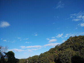 2023-10.30　今朝の里空 (4).jpg