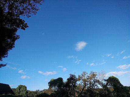2023-10.30　今朝の里空 (5).jpg