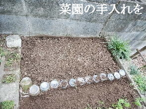 2023-10.30　菜園作業を (4).jpg