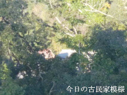 2023-10.31　今日の古民家模様.jpg