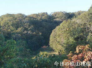 2023-10.31　今日の里山模様 (2).jpg