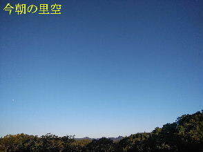 2023-10.31　今朝の里空 (1).jpg