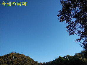 2023-10.31　今朝の里空 (3).jpg