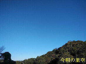 2023-10.31　今朝の里空 (4).jpg