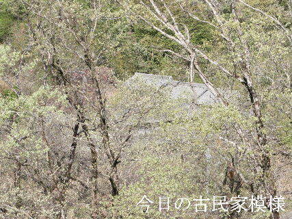 2024-04.17　今日の古民家模様.JPG