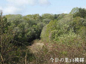 2024-04.17　今日の里山模様 (2).jpg