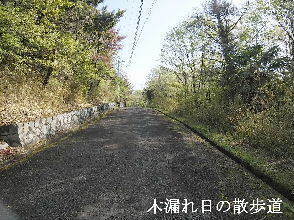 2024-04.17　今日の里山模様 (4).jpg