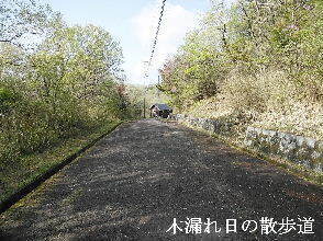 2024-04.17　今日の里山模様 (5).jpg