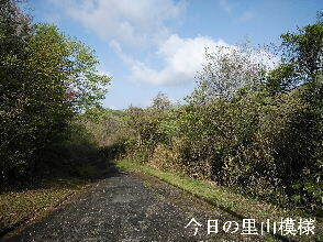 2024-04.17　今日の里山模様 (6).jpg