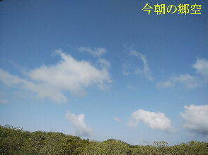 2024-04.17　今朝の郷空 (2).jpg