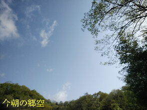 2024-04.17　今朝の郷空 (3).jpg