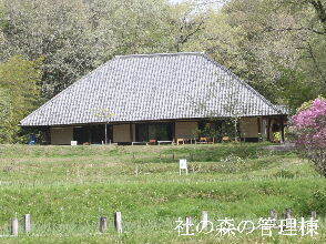 2024-04.17　社の森公園にて (1).JPG