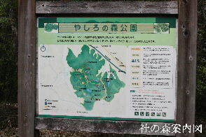 2024-04.17　社の森公園にて (10).JPG