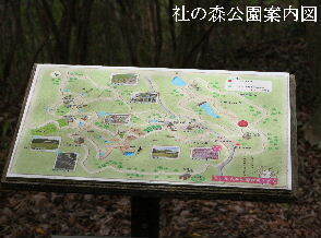 2024-04.17　社の森公園にて (11).JPG