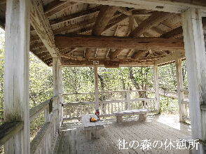 2024-04.17　社の森公園にて (2).jpg