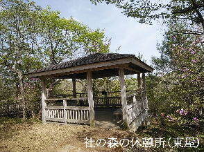 2024-04.17　社の森公園にて (3).jpg