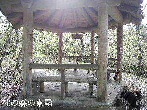 2024-04.17　社の森公園にて (7).jpg