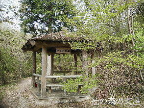 2024-04.17　社の森公園にて (8).jpg