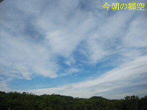 2024-07.09　今朝の郷空 (2).jpg