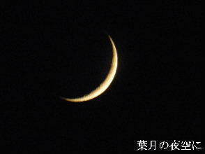 2024-08.07　葉月の郷空に (5).JPG