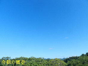 2024-08.08　今朝の郷空 (1).JPG