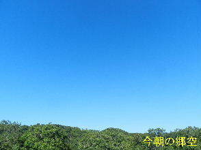 2024-08.08　今朝の郷空 (2).JPG