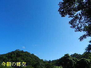 2024-08.08　今朝の郷空 (3).JPG