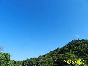 2024-08.08　今朝の郷空 (4).JPG