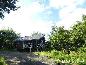 2024-08・10　今日の里山模様 (2).JPG