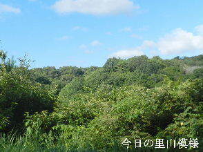 2024-08・10　今日の里山模様 (3).JPG