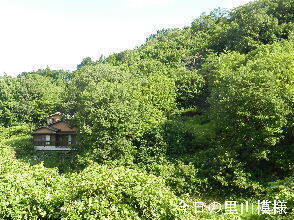 2024-08・10　今日の里山模様 (5).JPG
