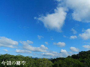2024-08・10　今朝の郷空 (1).JPG