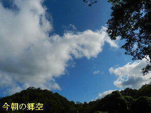 2024-08・10　今朝の郷空 (3).JPG