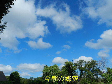 2024-08・10　今朝の郷空 (5).JPG