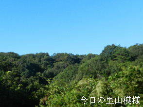 2024-09・10　今日の里山模様 (2).JPG