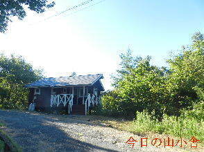 2024-09・10　今日の里山模様 (3).JPG