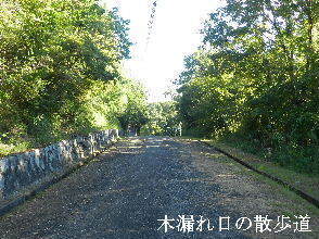 2024-09・10　今日の里山模様 (4).JPG