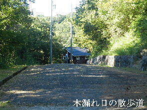2024-09・10　今日の里山模様 (5).JPG