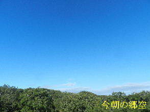 2024-09・10　長月の郷空模様 (4).JPG
