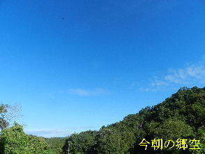 2024-09・10　長月の郷空模様 (6).JPG